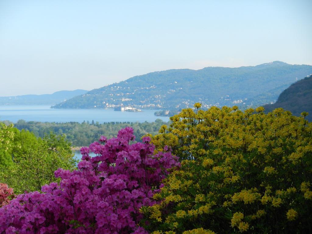 B&B Il Picchio Мергоцо Екстериор снимка